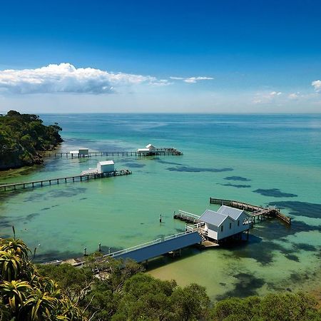 Bayplay Beach Cottage - Pet Friendly Queenscliff Zimmer foto