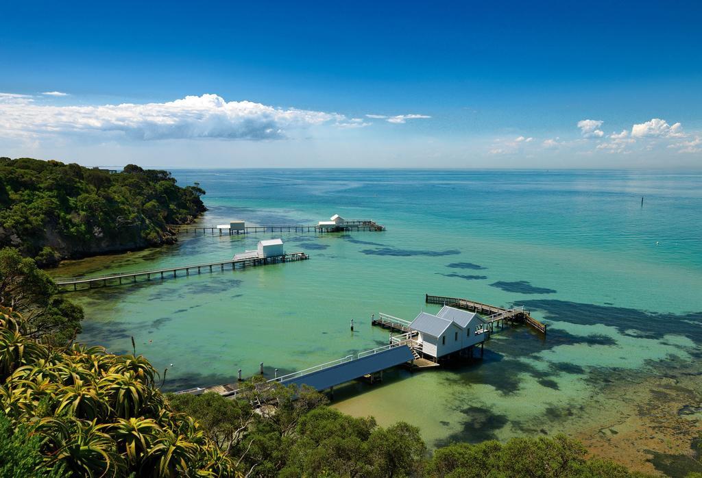 Bayplay Beach Cottage - Pet Friendly Queenscliff Zimmer foto